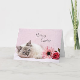 Ragdoll Ostern Karte