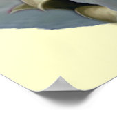 Ragdoll Perfect Angel Kitten Poster (Ecke)