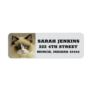 RAGDOLL PERSIAN CAT Big Rücksendeadressen-Aufklebe