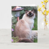 ragdoll Porträt-Karten Karte (Gelbe Blume)