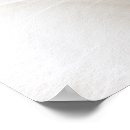 Ragdoll Poster (Ecke)