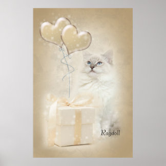 Ragdoll-Poster Poster