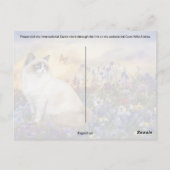 Ragdoll Postkreuzung - Postkarte (Rückseite)