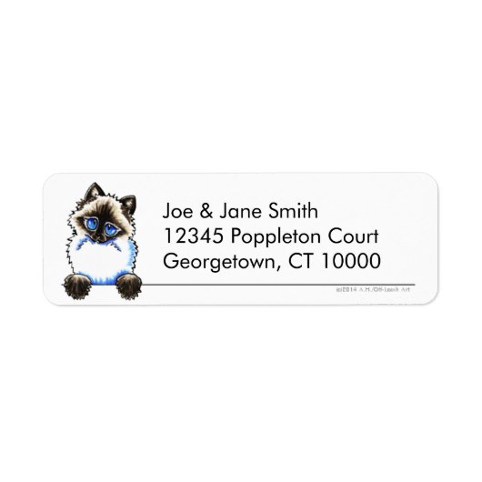 Ragdoll Ragamuffin Cat Clean and Simple (Vorne)