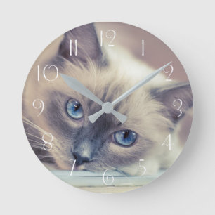 Ragdoll ‎ runde wanduhr