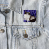 Ragdoll, Siegel zweifarbig Button (Beispiel)
