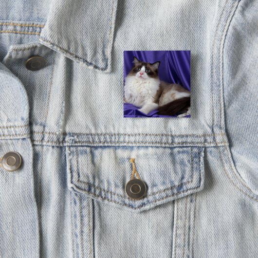 Ragdoll, Siegel zweifarbig Button (Beispiel)