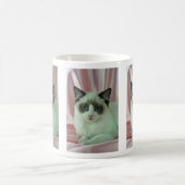 Ragdoll, Siegel zweifarbig Kaffeetasse (Mittel)