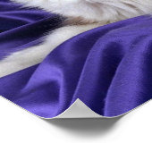 Ragdoll, Siegel zweifarbig Poster (Ecke)