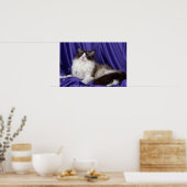 Ragdoll, Siegel zweifarbig Poster (Küche)