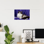 Ragdoll, Siegel zweifarbig Poster (Heimbüro)