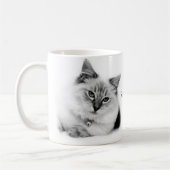 Ragdoll Tasse (Links)