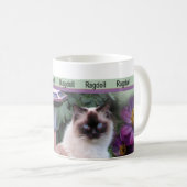 Ragdoll Tassen (VorderseiteRechts)