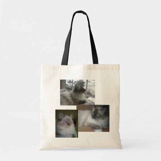 Ragdoll Tragetasche (Vorne)
