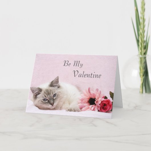 Ragdoll Valentine Card Feiertagskarte (Vorderseite)