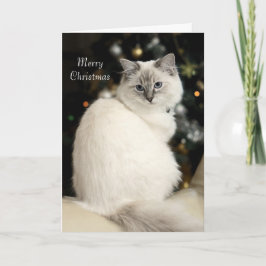 Ragdoll Weihnachtskarte Feiertagskarte
