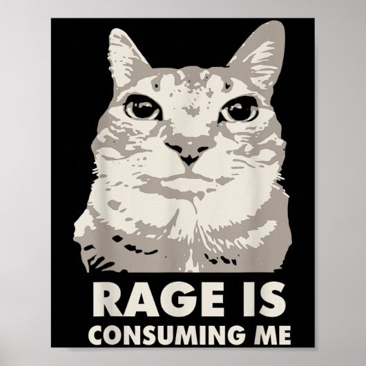 Rage verzehrt mich wütend Cat Meme Sarcasm Funny Poster (Vorne)