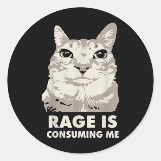 Rage verzehrt mich wütend Cat Meme Sarcasm Funny Runder Aufkleber (Vorderseite)