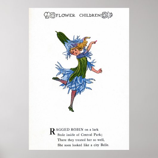 Ragged Robin Poster (Vorne)