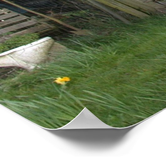 Raggedy Old Structure Poster (Ecke)