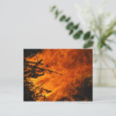 Raging Fire Postkarte (Stehend Vorderseite)