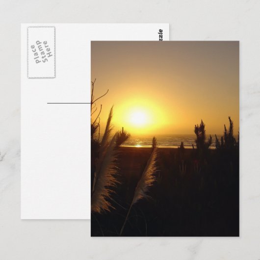 Raglan Sunset Postkarte (Vorne/Hinten)