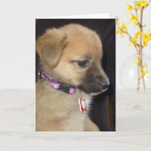 Rahja Karte (Gelbe Blume)