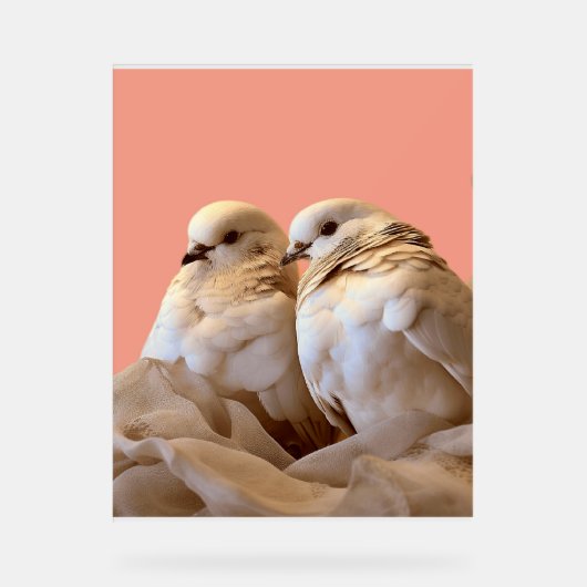 rahmen acrylschild (Vorderseite)