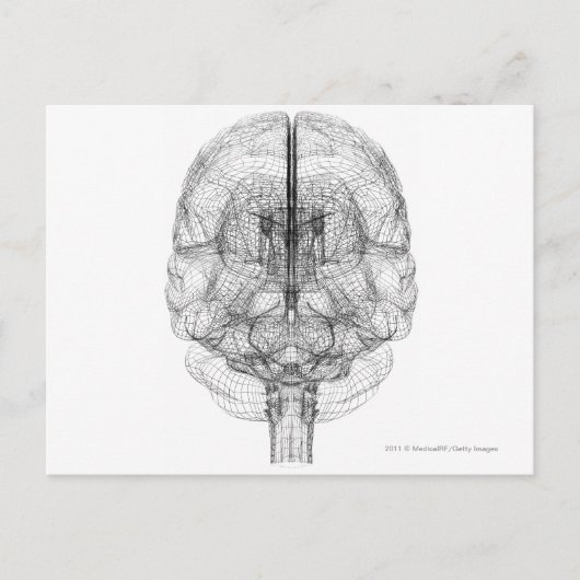 Rahmen des Gehirns Postkarte (Vorderseite)