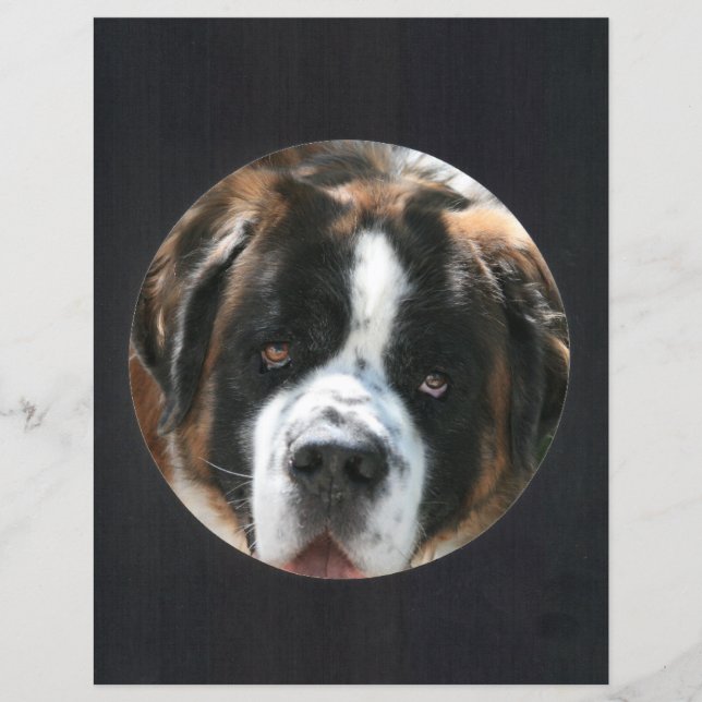 Rahmen für das schwarze Foto (Vorderseite)