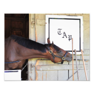 Rahmenplan Fotodruck