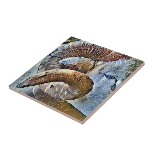 RAHMENTIERBETRIEB FLIESE (Seite)