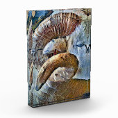 RAHMENTIERBETRIEB FOTOBLOCK (Links)