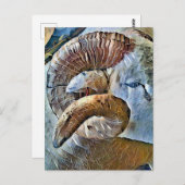 RAHMENTIERBETRIEB POSTKARTE (Vorne/Hinten)