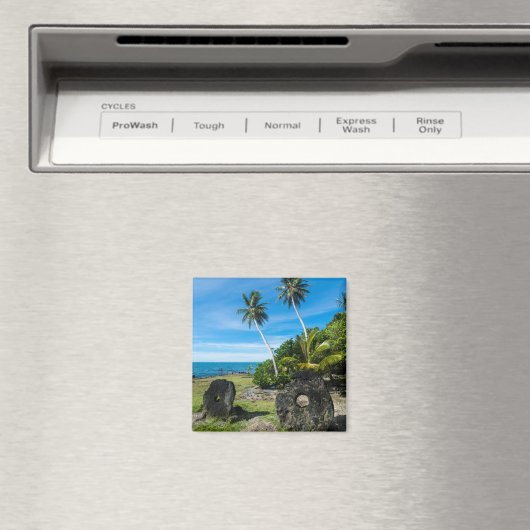 Rai Stones auf Yap Island Magnet (In Situ (Geschirrspüler))