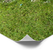 Rai Stones On Yap Island Poster (Ecke)