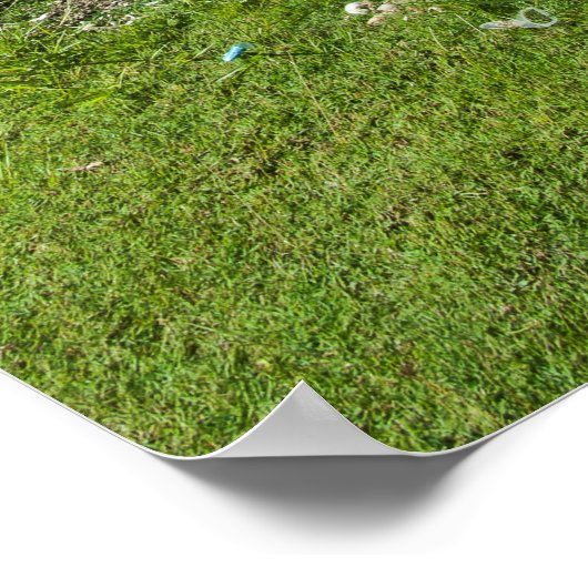 Rai Stones On Yap Island Poster (Ecke)