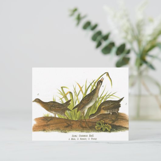 Rail Postkarte (Stehend Vorderseite)