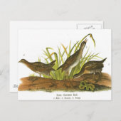 Rail Postkarte (Vorne/Hinten)