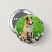 raimubatti button (Vorne & Hinten)