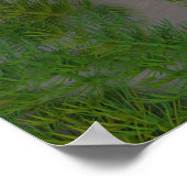 Rain Bird Art Print Poster (Ecke)