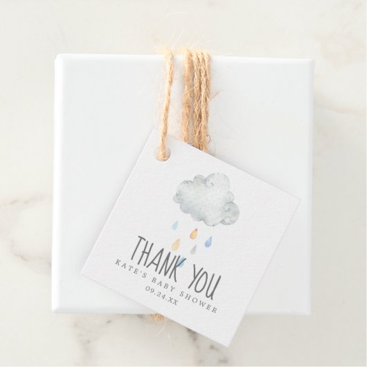 Rain Cloud Boy Baby Dusche Danke Geschenkanhänger (Beispiel)