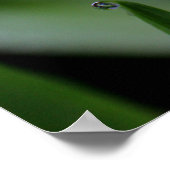 Rain Covered Grass Blades Poster (Ecke)