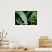 Rain Covered Grass Blades Poster (Küche)