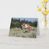 Rain Dance Grußkarte Karte (Gelbe Blume)