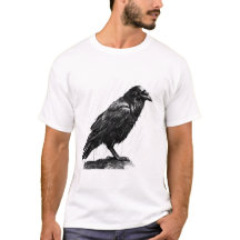 Rain flüstert, Raven's Weisheit