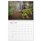 Rain Forest ・ Olympic National Park, Washington Kalender (Feb 2027)