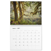 Rain Forest ・ Olympic National Park, Washington Kalender (Mär 2027)