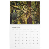Rain Forest ・ Olympic National Park, Washington Kalender (Jan 2027)