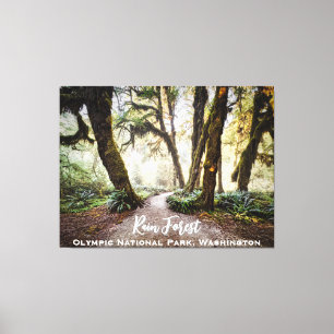 Rain Forest ・ Olympic National Park, Washington Leinwanddruck